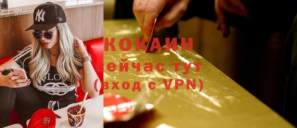 скорость Гусев