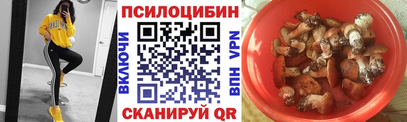 блэк спрут ONION  Северская  Галлюциногенные грибы прущие грибы  купить наркотики цена 